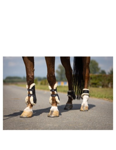 BR Fetlock Boots Urban Comfort