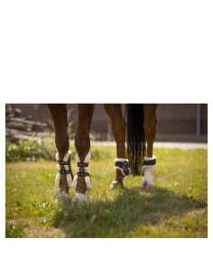 BR Fetlock Boots Urban...