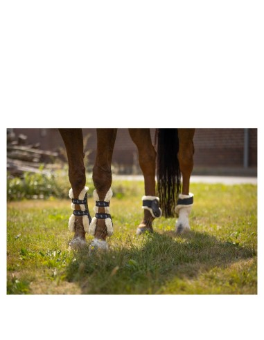 BR Fetlock Boots Urban Comfort