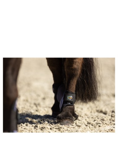 Protège-boulets BR Mini Horse