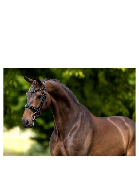 BR stang en trens hoofdstel Wendover