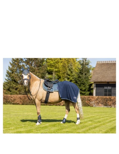 BR Mini Horse uitrijdeken