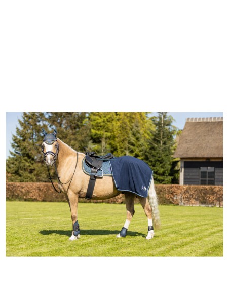 Couvre-reins BR Mini Horse