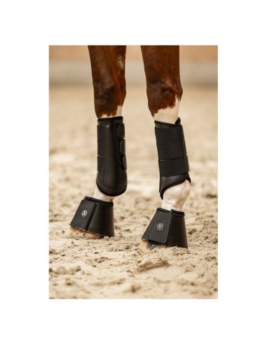 BR CLX Majestic beenbeschermers