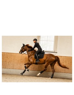 BR CLX Reitlegging Damen...