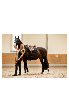 Chemise manches courtes BR...