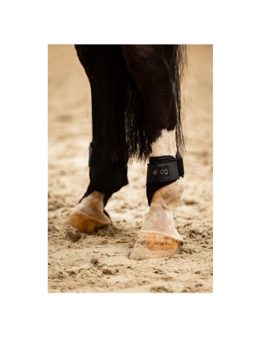 BR CLX XO2 Fetlock Boots