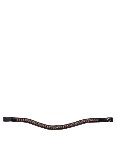 BR Browband Andes