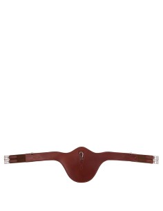 BR Girth Eastbourne with...