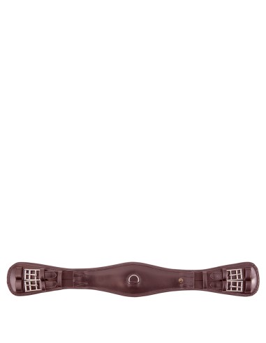 BR dressuursingel Durham