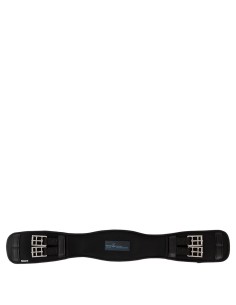 BR singel Evolution...