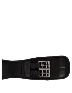 BR Sattelgurt Evolution... 2