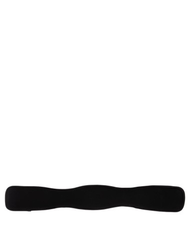 BR Girth Evolution Dressage