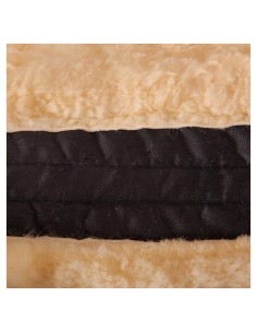 Amortisseur BR découpe de... 2