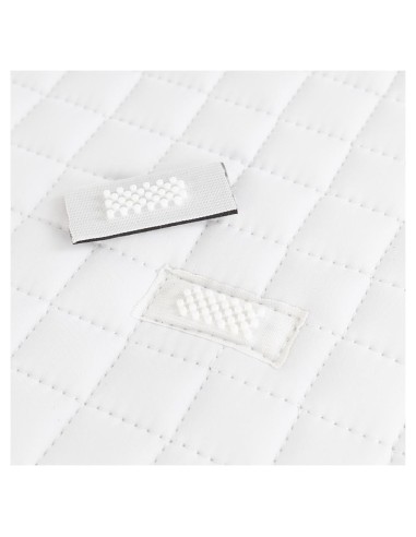 BR Saddle Pad Trentino General Purpose C-wear