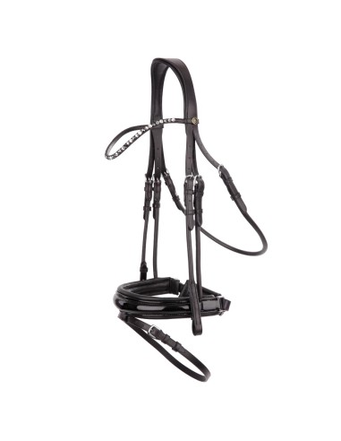 BR Bridle Andover