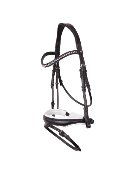 BR Bridle Southam