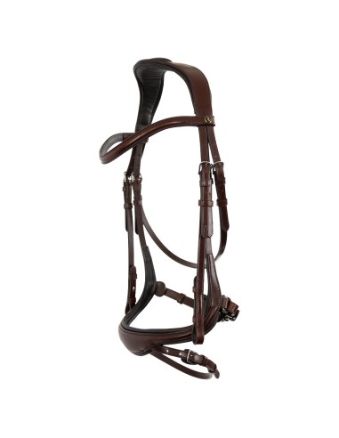 BR Bridle Longridge
