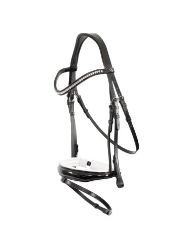 BR Bridle Ipswitch