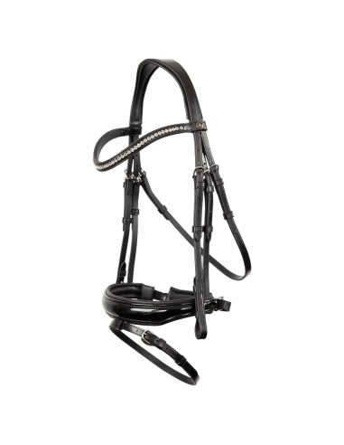 BR Bridle Ipswitch