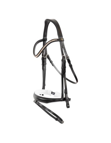BR Bridle Oldham