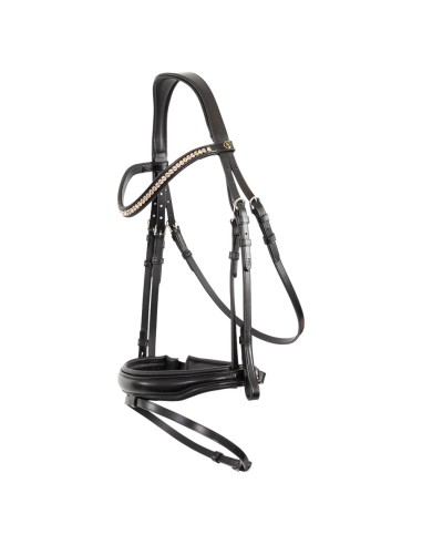 BR Bridle Oldham