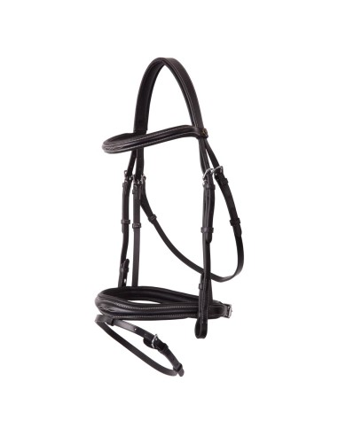 BR Bridle Cheltenham