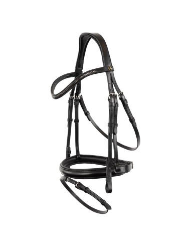 BR Bridle Brackley 