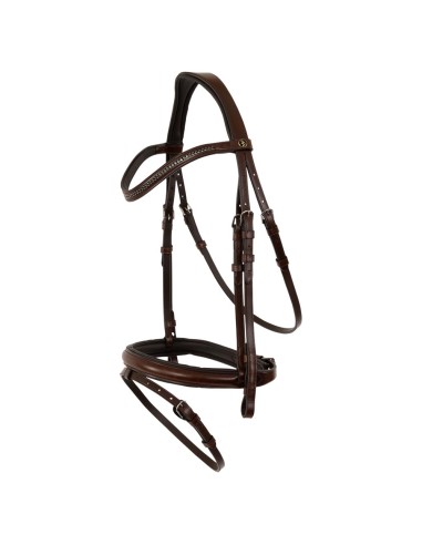 BR Bridle Brackley 