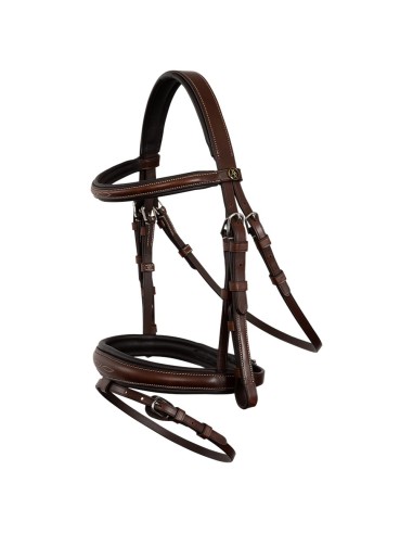 BR Trensenzaum Middleton