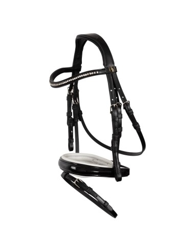 BR Bridle Horwich
