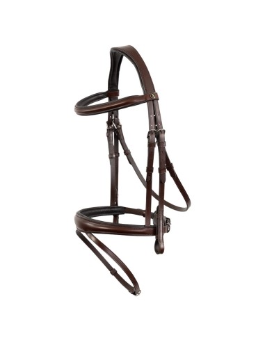 BR hoofdstel Credition