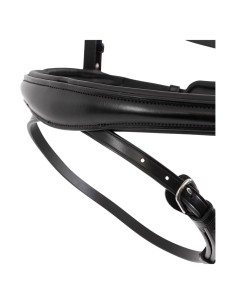 BR hoofdstel Credition -... 2