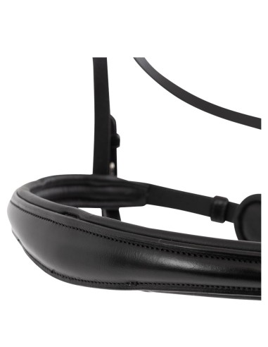 BR Bridle Credition