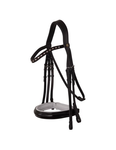 BR Weymouth Bridle Wendover