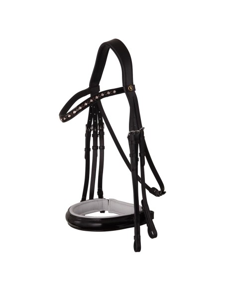 BR Weymouth Bridle Wendover