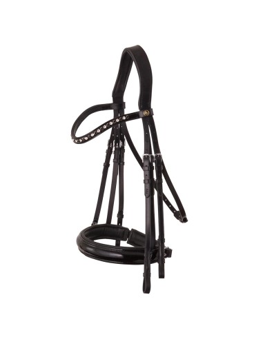 BR Weymouth Bridle Wendover