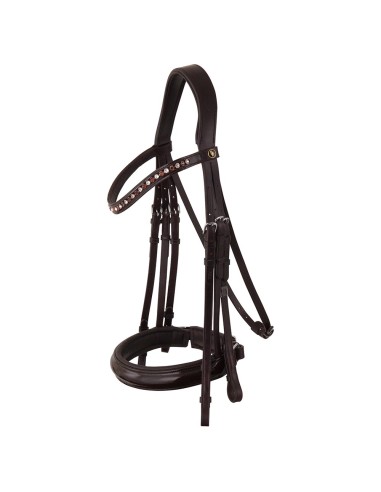 BR Weymouth Bridle Wendover