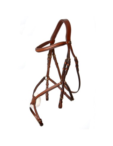 BR Grackle Bridle Grantham