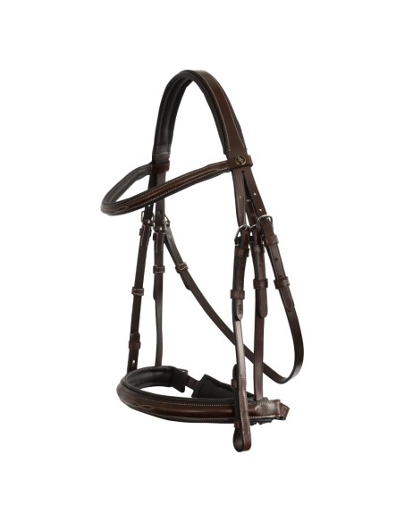 BR Hunter Bridle Oxford