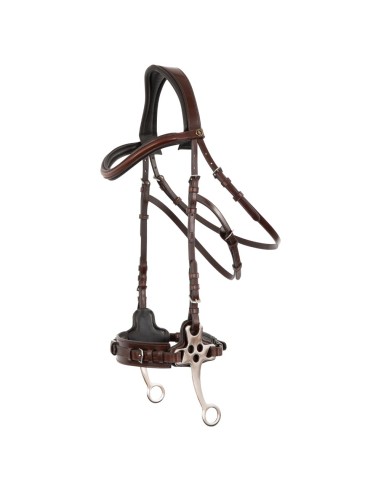 BR Bridle Lydney