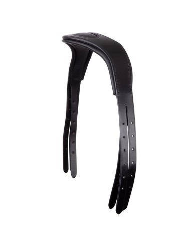 BR Headpiece Anatomic Fit