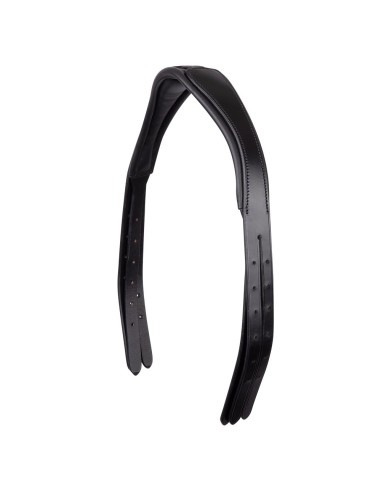 BR Headpiece Anatomic Free