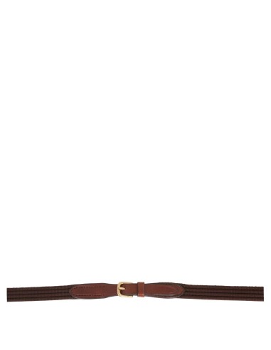 BR Web Reins