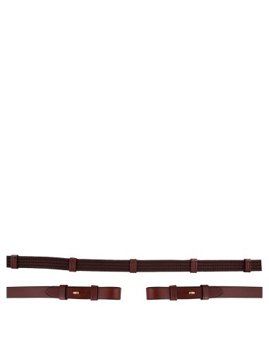 BR Web Reins