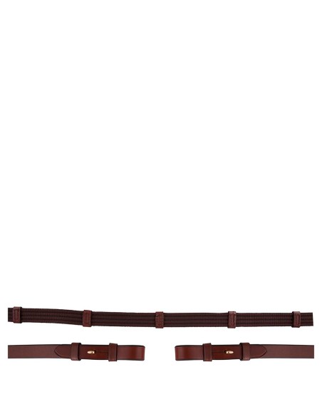 BR Web Reins