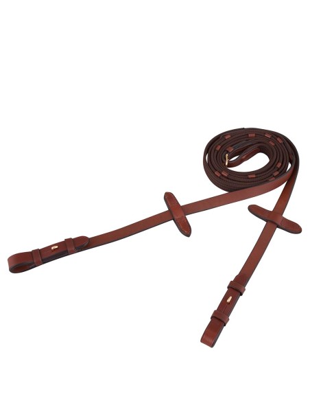 BR Web Reins