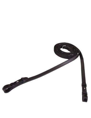 BR Web Reins