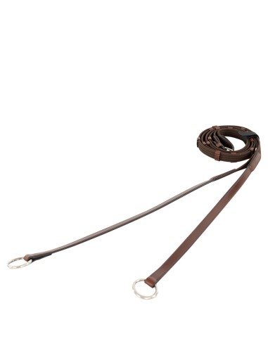BR Gurtzügel mit Ring
