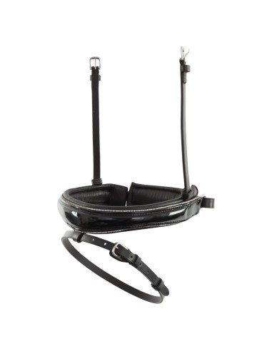 BR gecombineerde aansnoerneusriem...